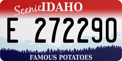 ID license plate E272290