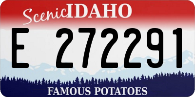 ID license plate E272291