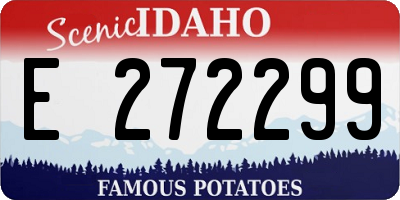 ID license plate E272299
