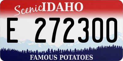 ID license plate E272300