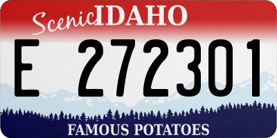 ID license plate E272301