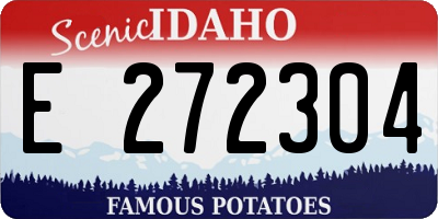 ID license plate E272304