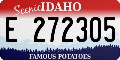 ID license plate E272305