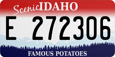 ID license plate E272306