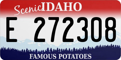 ID license plate E272308