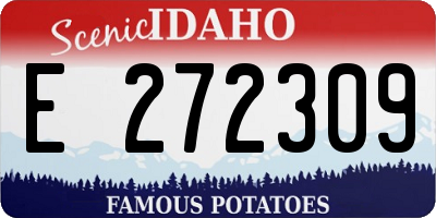 ID license plate E272309
