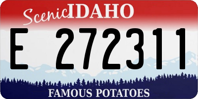 ID license plate E272311