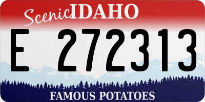 ID license plate E272313