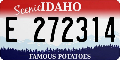 ID license plate E272314