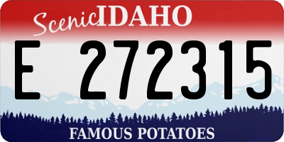 ID license plate E272315