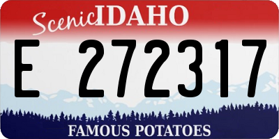 ID license plate E272317