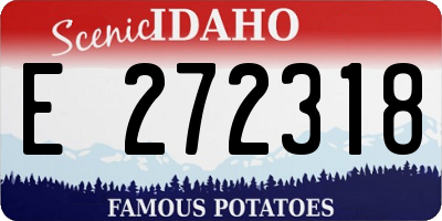 ID license plate E272318