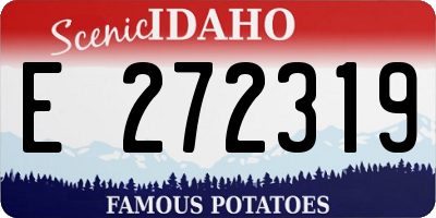 ID license plate E272319