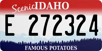 ID license plate E272324