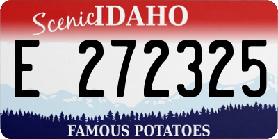 ID license plate E272325