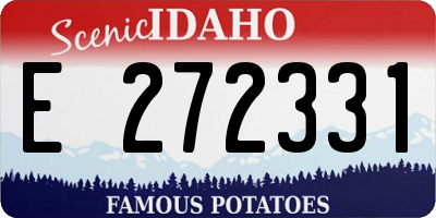 ID license plate E272331