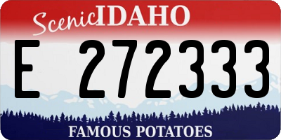 ID license plate E272333