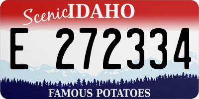 ID license plate E272334