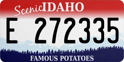ID license plate E272335