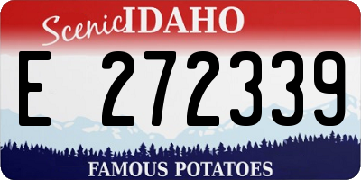 ID license plate E272339