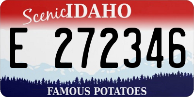 ID license plate E272346