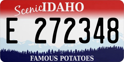 ID license plate E272348