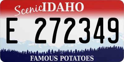 ID license plate E272349