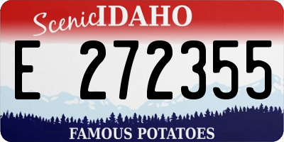 ID license plate E272355