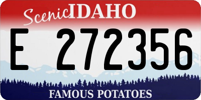 ID license plate E272356