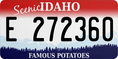 ID license plate E272360
