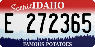 ID license plate E272365
