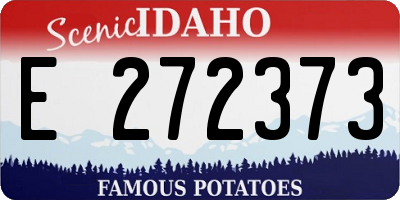 ID license plate E272373