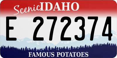 ID license plate E272374