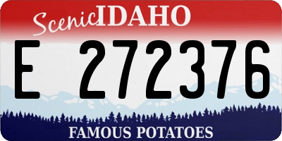 ID license plate E272376