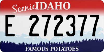 ID license plate E272377