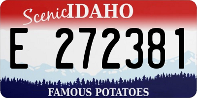 ID license plate E272381