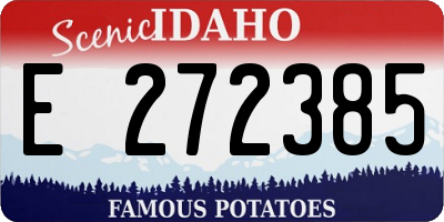 ID license plate E272385