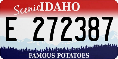 ID license plate E272387