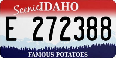 ID license plate E272388