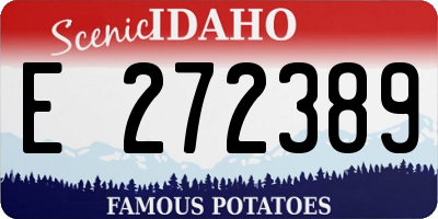 ID license plate E272389