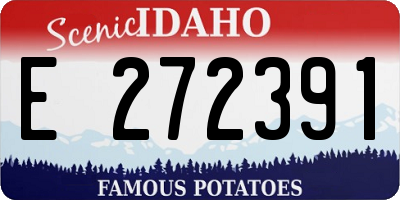 ID license plate E272391