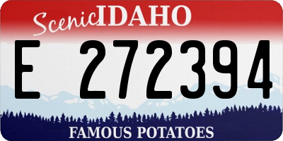 ID license plate E272394