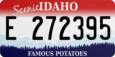 ID license plate E272395