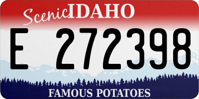 ID license plate E272398