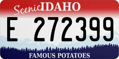 ID license plate E272399