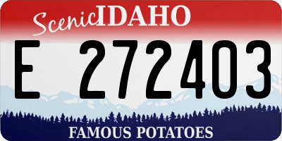 ID license plate E272403
