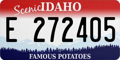 ID license plate E272405