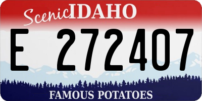 ID license plate E272407