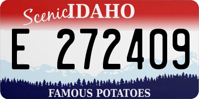 ID license plate E272409