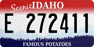 ID license plate E272411